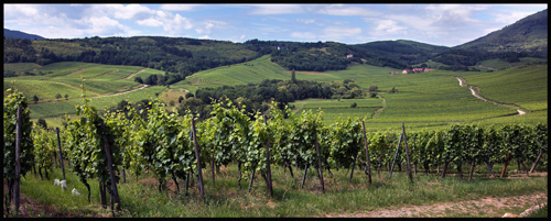 panorama-muenchberg-web