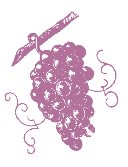 Grape-detail