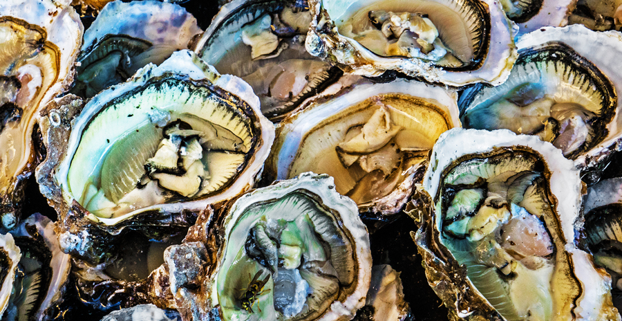 November-oysters-blog