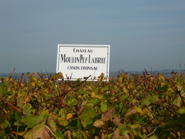 Moulin-Pey-Labrie-Vineyards.jpg