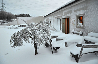 snow_vineyard2_web.jpg