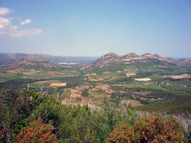 P1020437-web.jpg