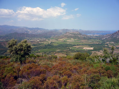 P1020439-web.jpg